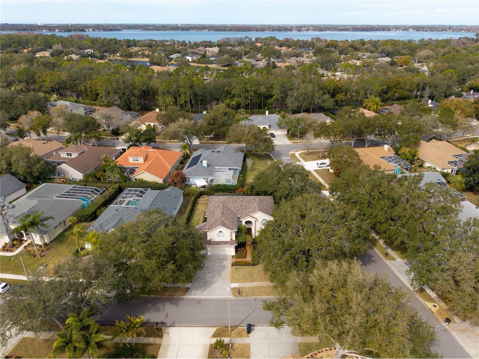 5292 Kernwood Court Palm Harbor FL 34685 TB8471501 image82