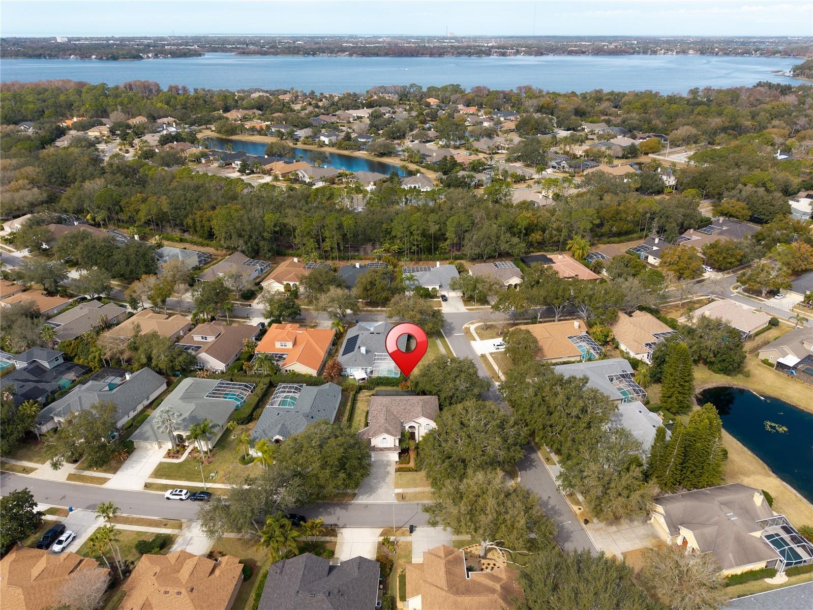 5292 Kernwood Court Palm Harbor FL 34685 TB8471501 image83