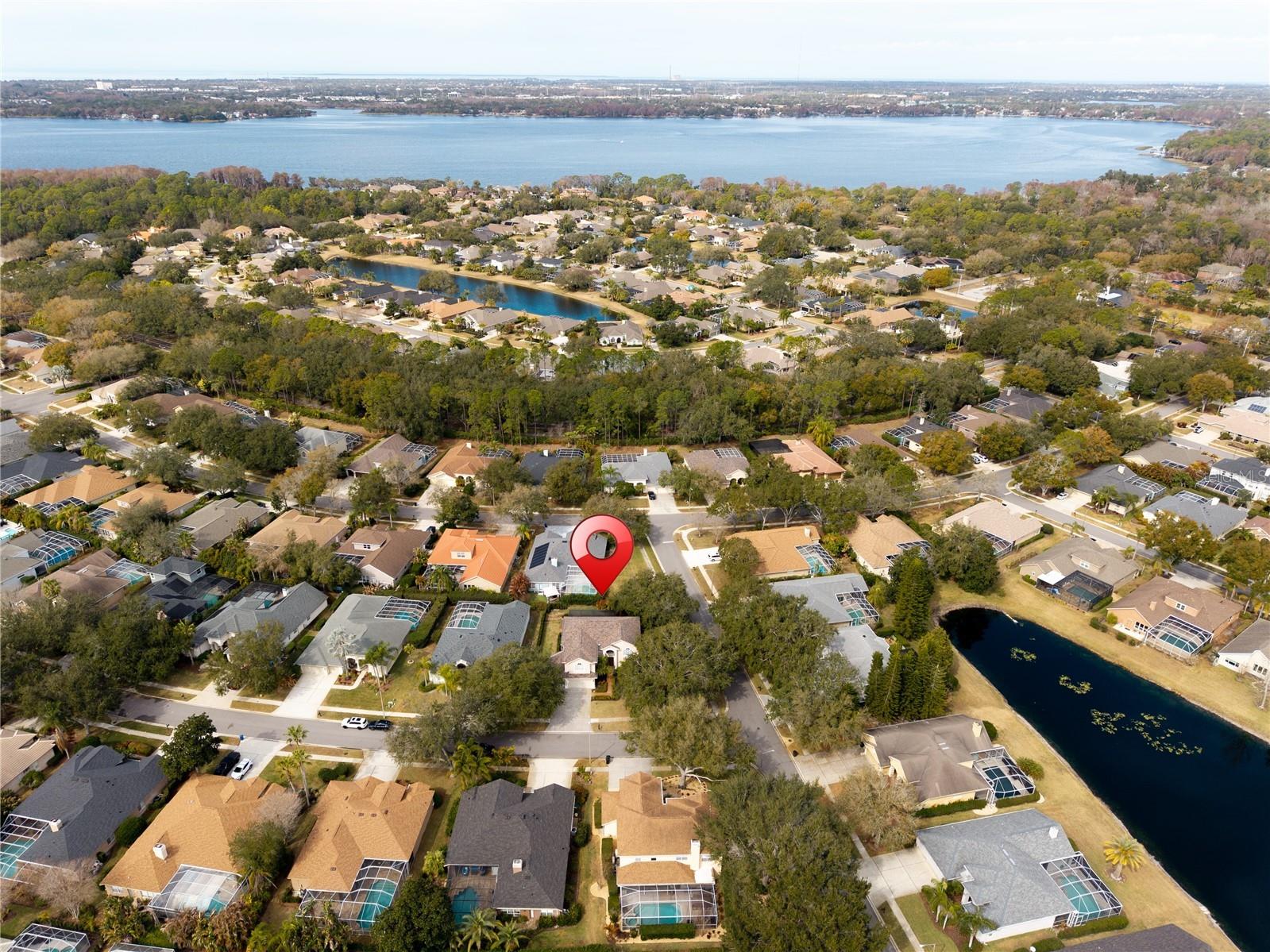 5292 Kernwood Court Palm Harbor FL 34685 TB8471501 image84