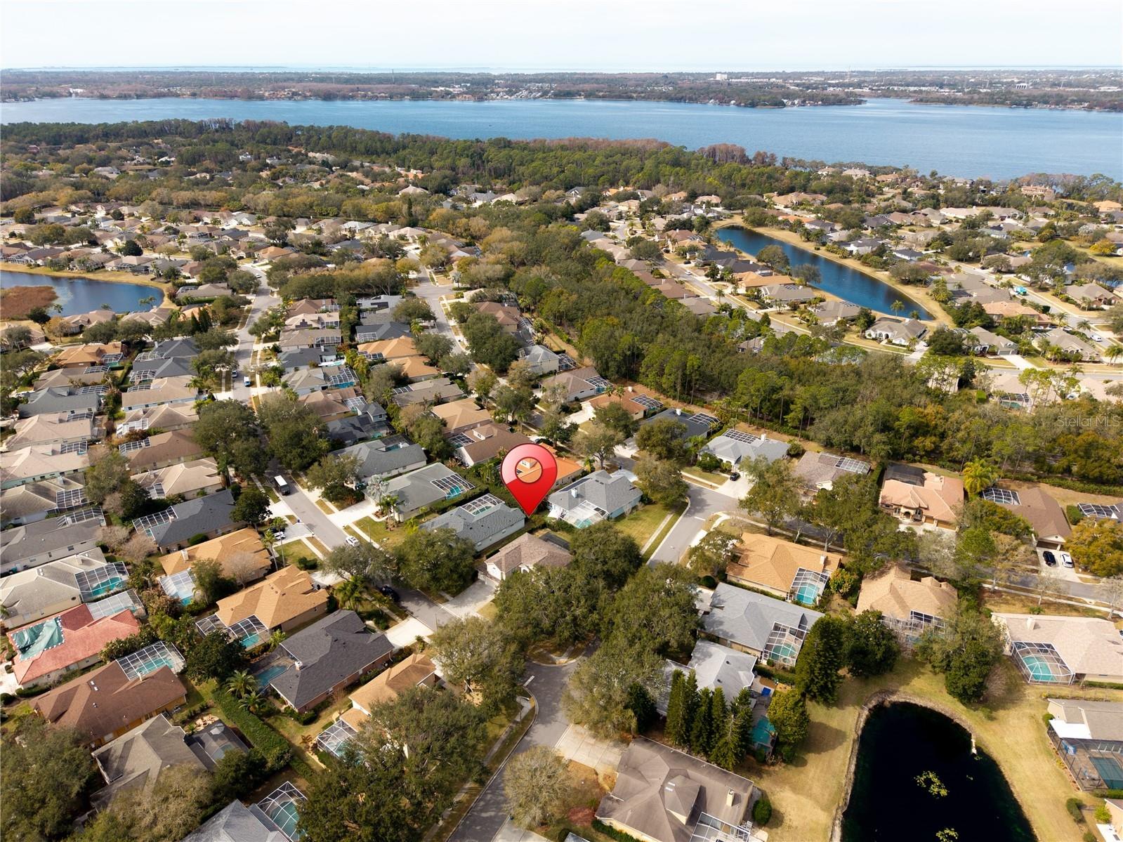 5292 Kernwood Court Palm Harbor FL 34685 TB8471501 image85