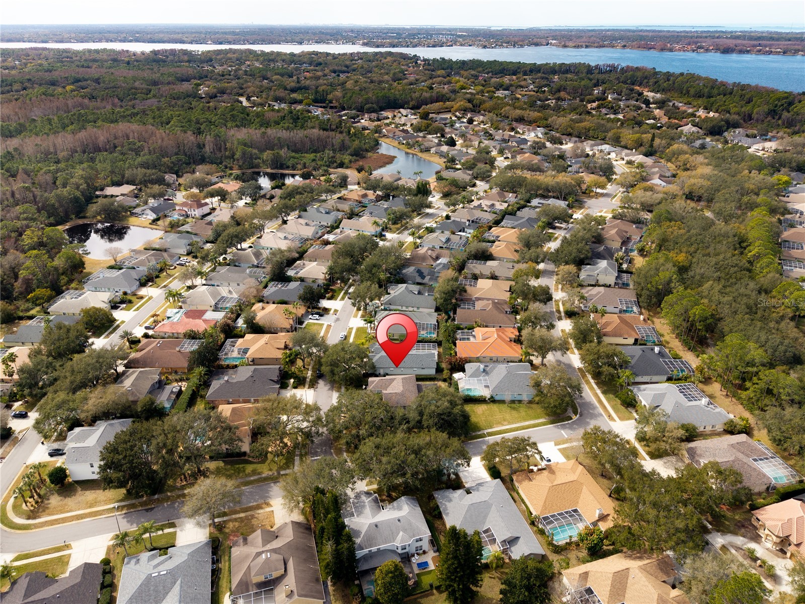 5292 Kernwood Court Palm Harbor FL 34685 TB8471501 image86