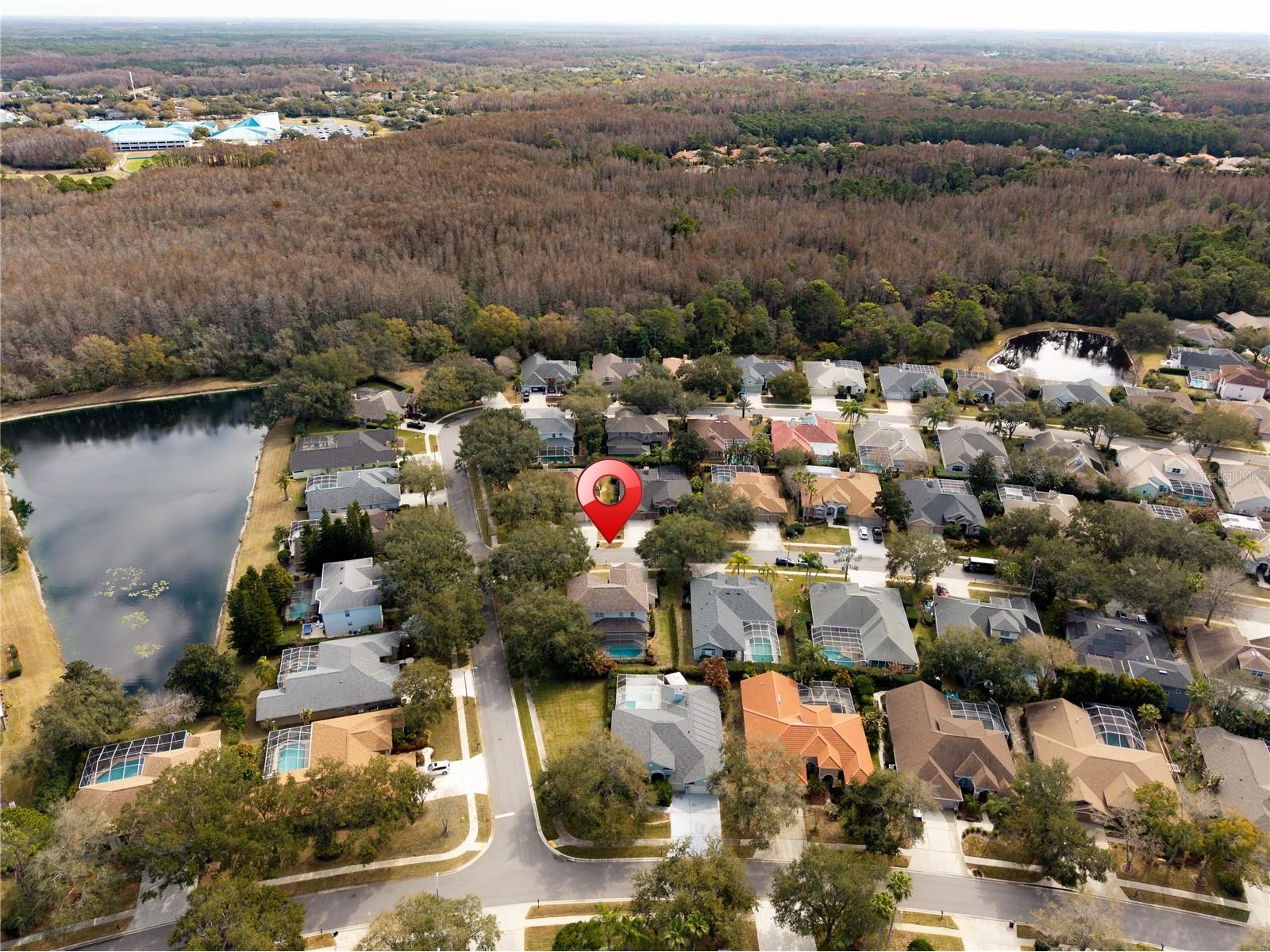 5292 Kernwood Court Palm Harbor FL 34685 TB8471501 image87