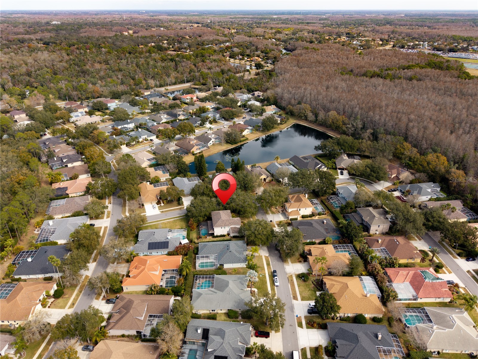 5292 Kernwood Court Palm Harbor FL 34685 TB8471501 image88