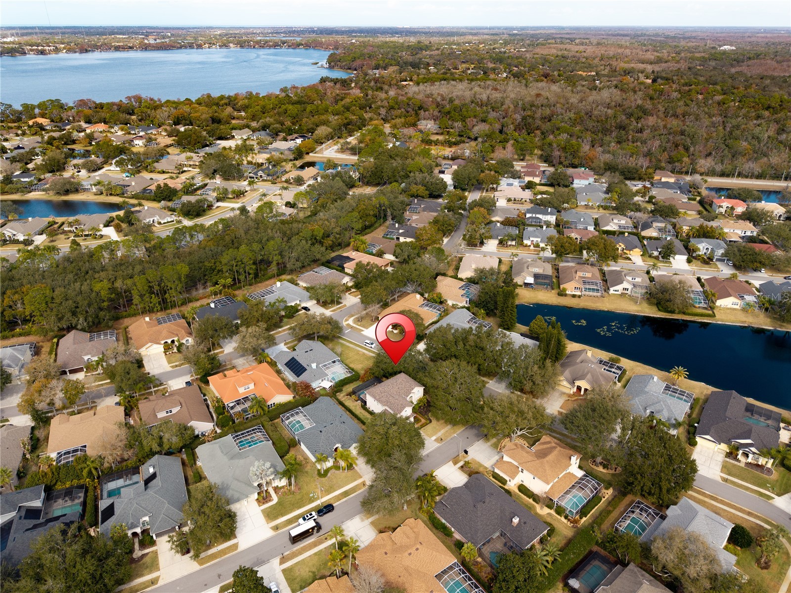 5292 Kernwood Court Palm Harbor FL 34685 TB8471501 image89