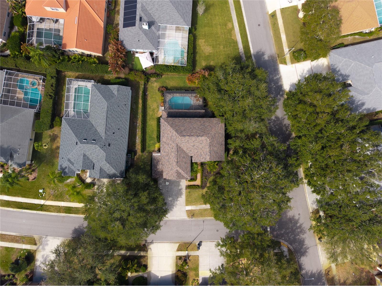 5292 Kernwood Court Palm Harbor FL 34685 TB8471501 image90