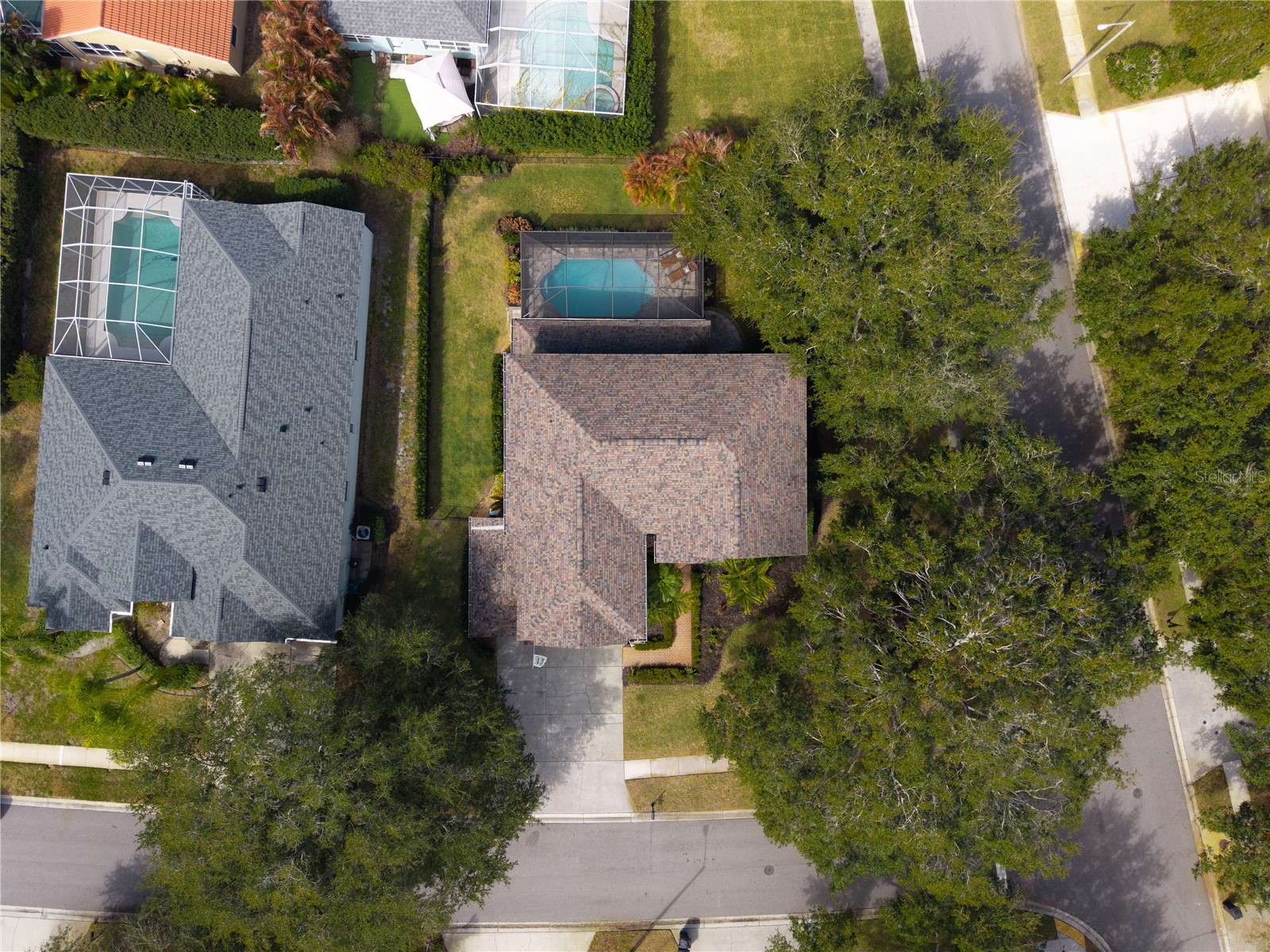 5292 Kernwood Court Palm Harbor FL 34685 TB8471501 image91