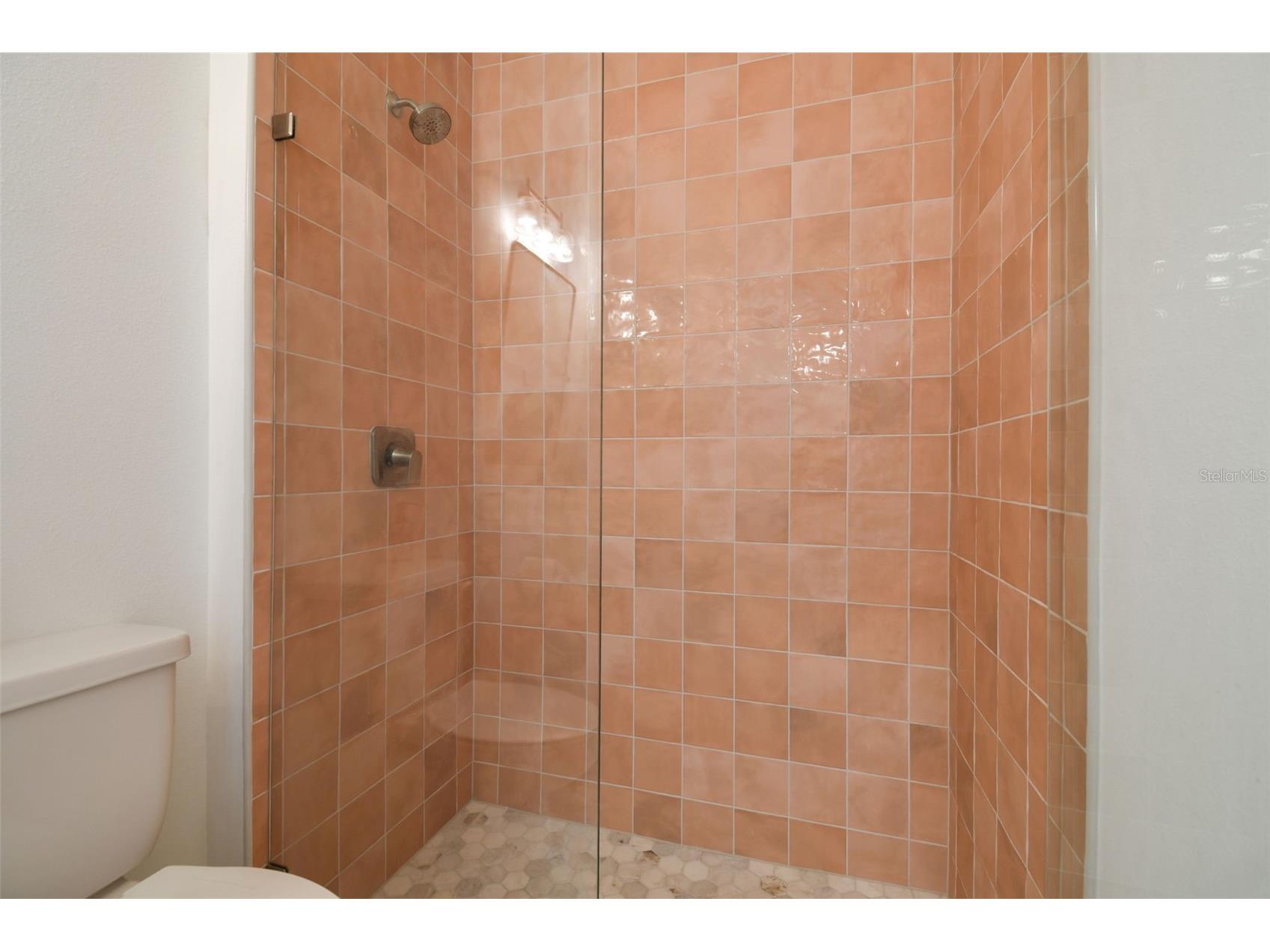 5293 Everlong Drive Apollo Beach FL 33572 TB8487382 image55