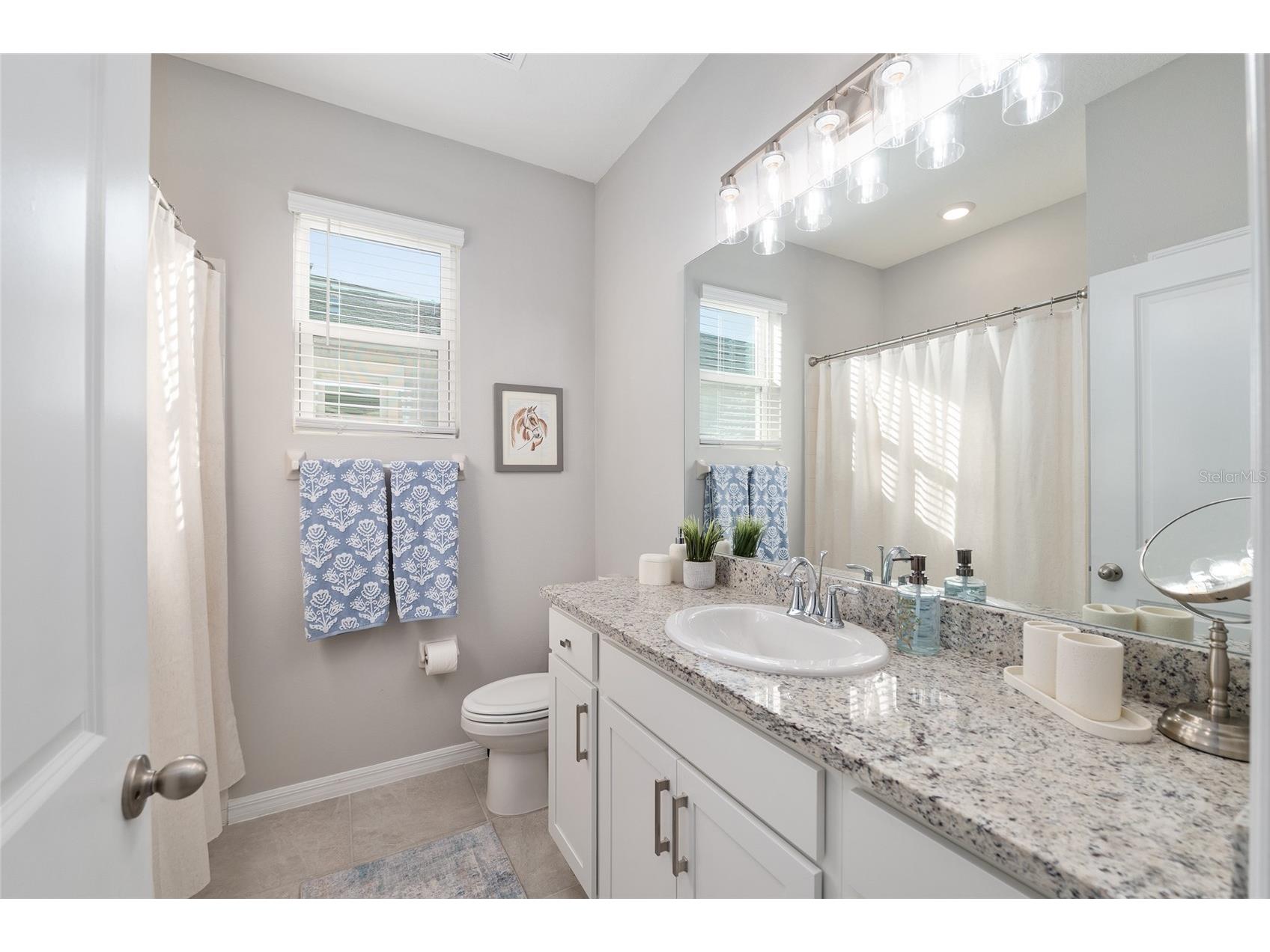 5293 NW 48th Place Ocala FL 34482 OM719083 image39