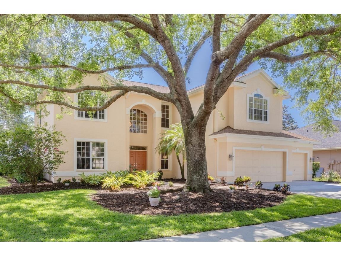 5295 Kernwood Court Palm Harbor FL 34685 U8236700 image1