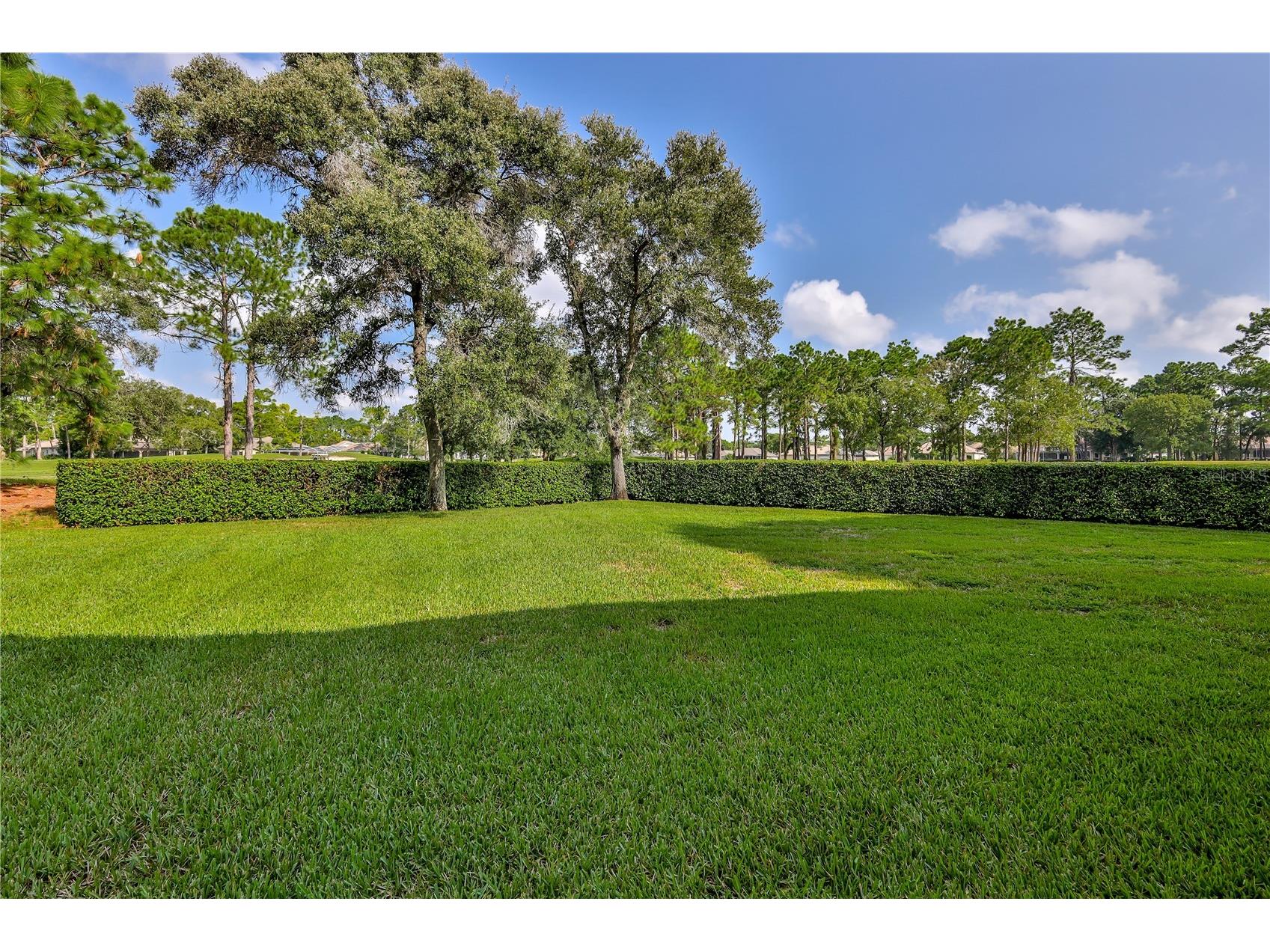 5295 Legend Hills Lane Brooksville FL 34609 W7878163 image62