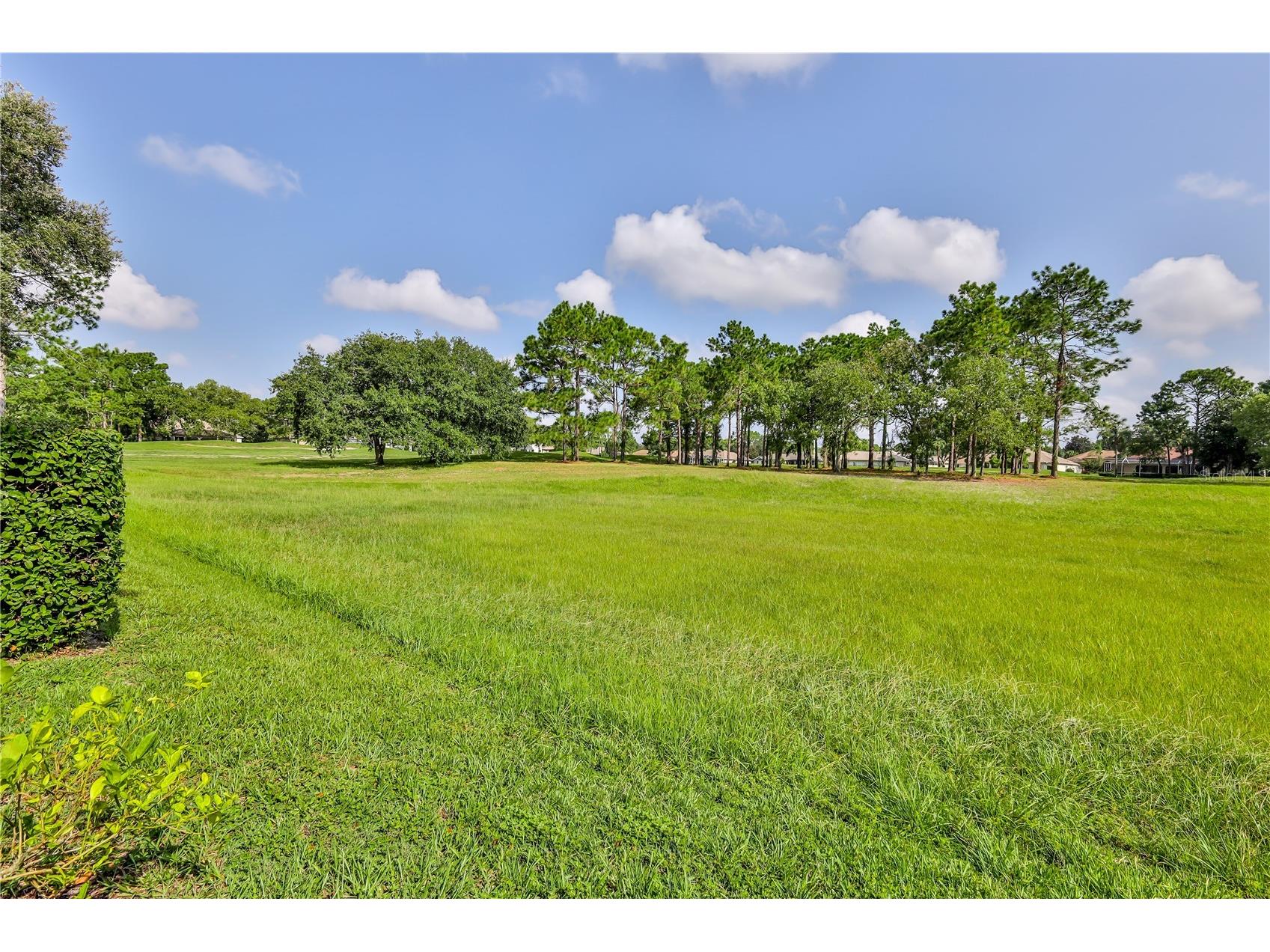 5295 Legend Hills Lane Brooksville FL 34609 W7878163 image8