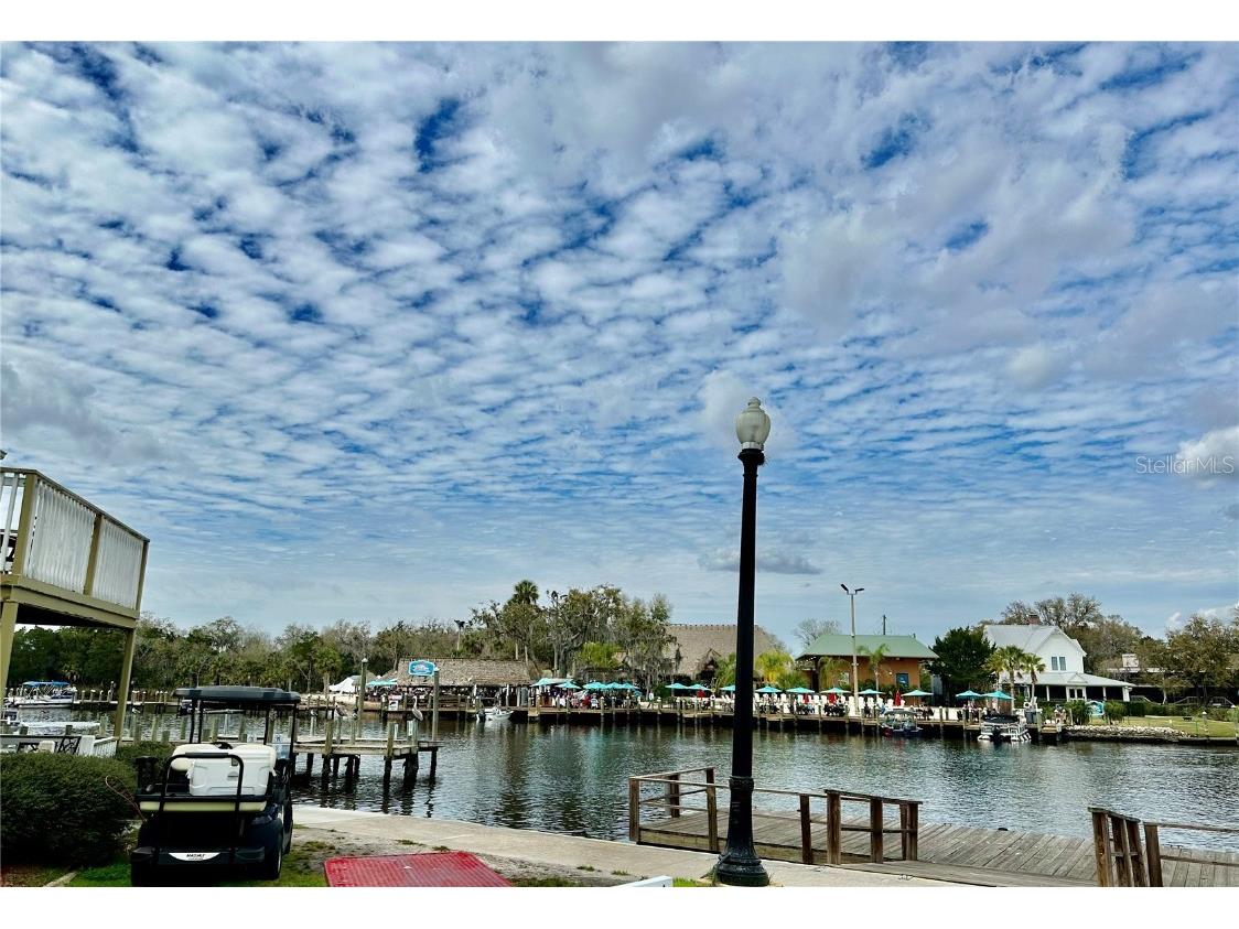 5297 S Cherokee Way #104 Homosassa FL 34448 T3505477 image14