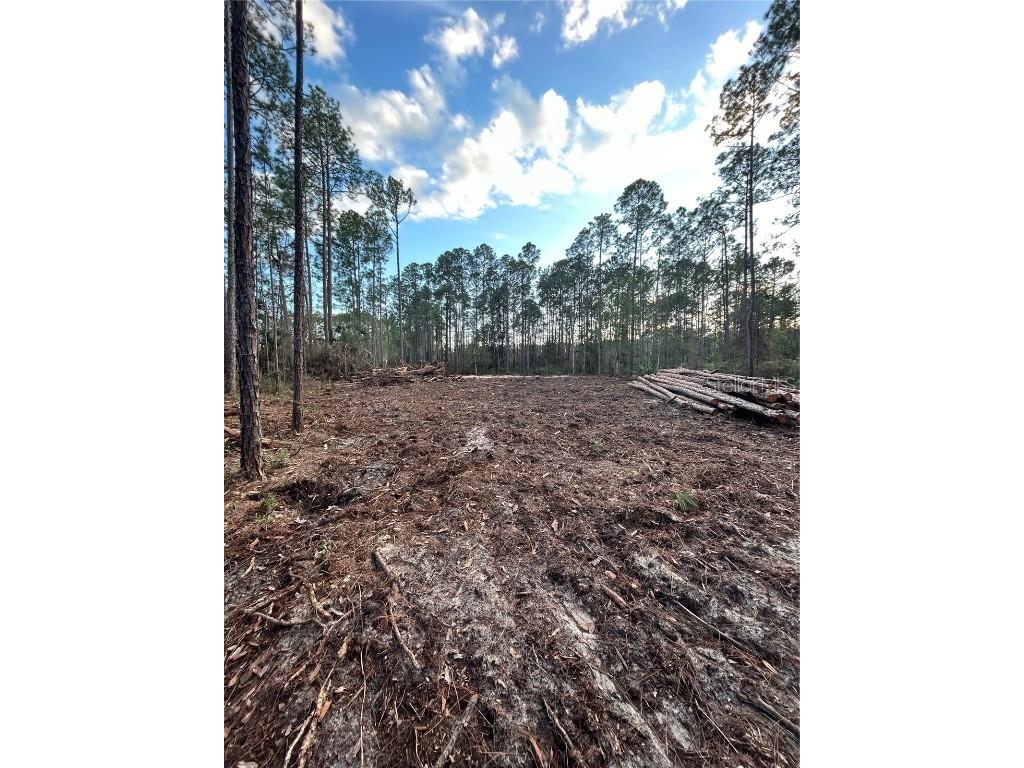 5297 Walnut Avenue Bunnell FL 32110 FC298336 image1