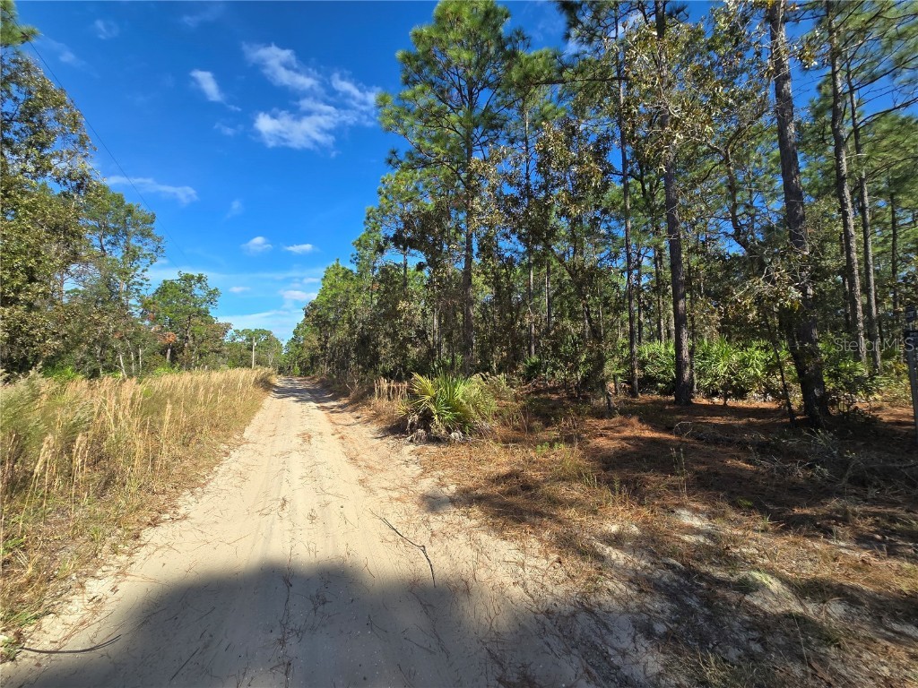 5299 N Smokey Mountain Point Crystal River FL 34428 OM689960 image1