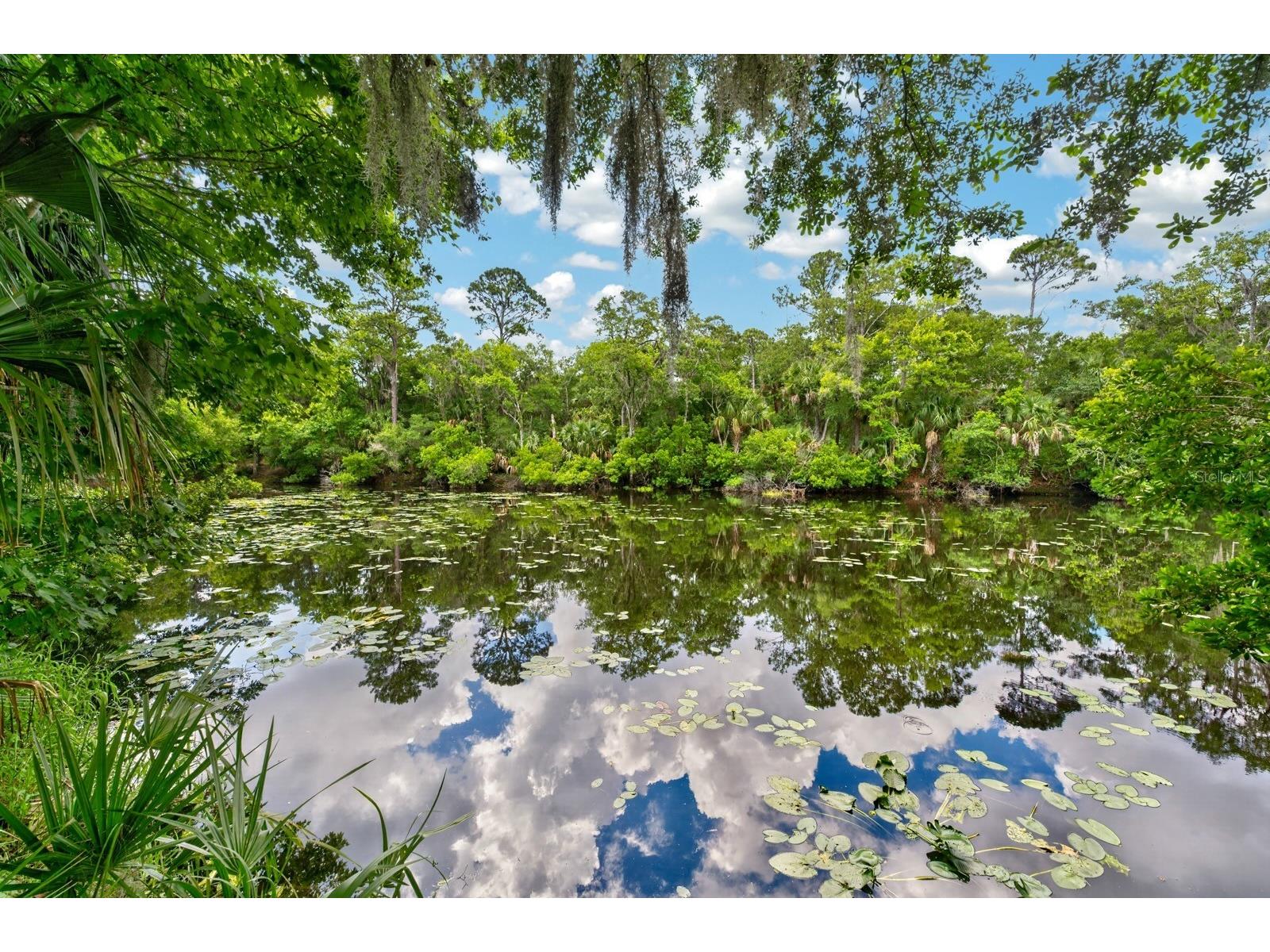 53 Auberry Drive Palm Coast FL 32137 FC318926 image44