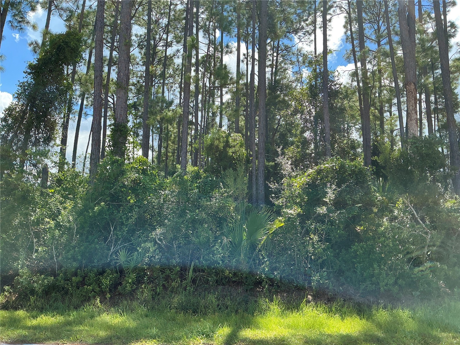 53 Fenwick Lane Palm Coast FL 32137 OM712612 image1