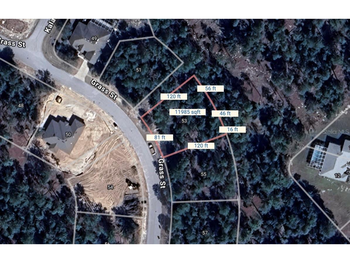 53 Grass Street Homosassa FL 34446 O6309837 image1