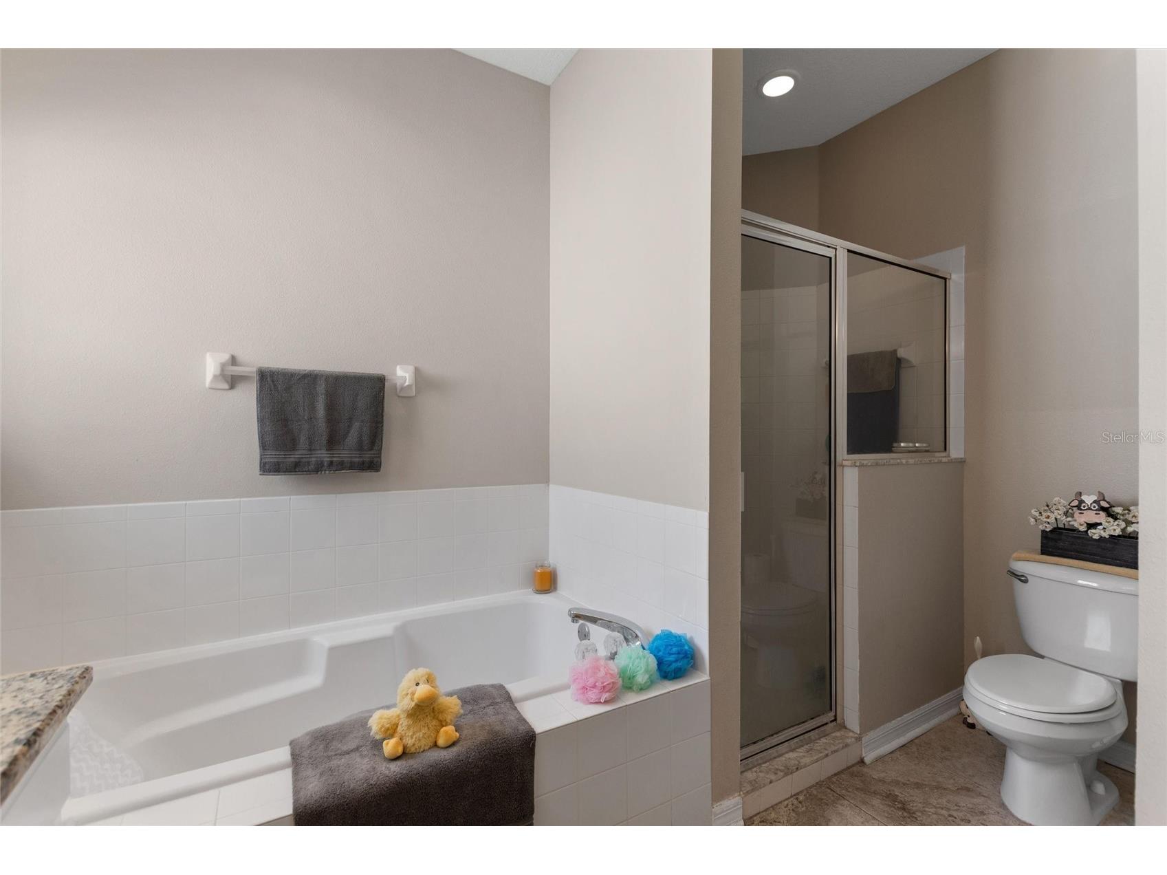 53 High Vista Dr Davenport FL 33837 S5147530 image22