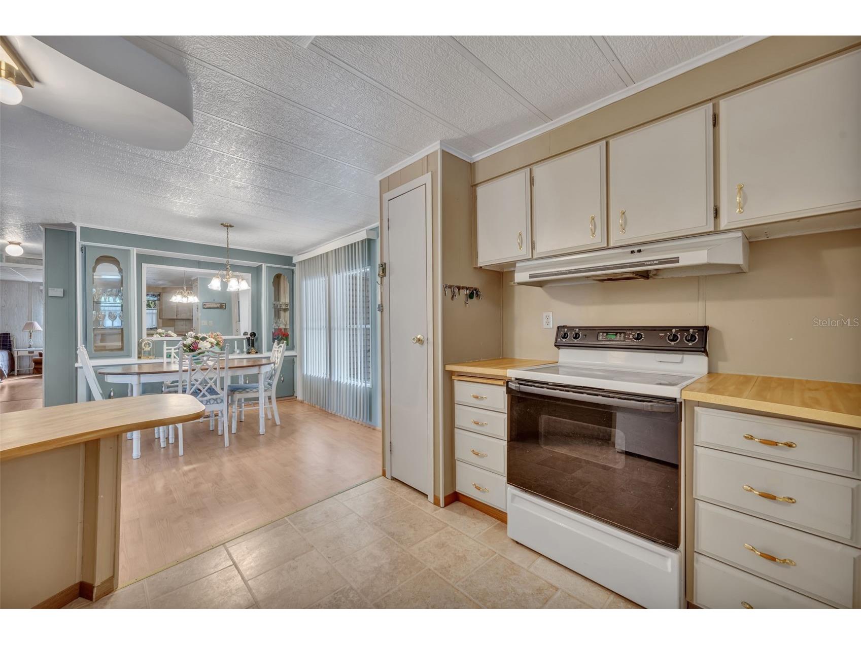 53 Kono Circle Leesburg FL 34788 G5111614 image16