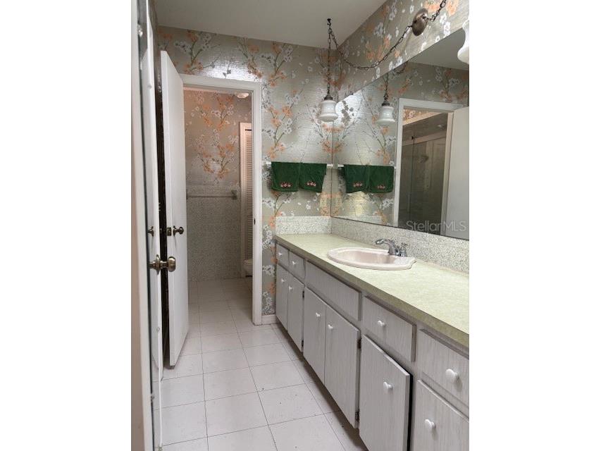 53 N Archwood Drive Inverness FL 34450 OM713057 image47