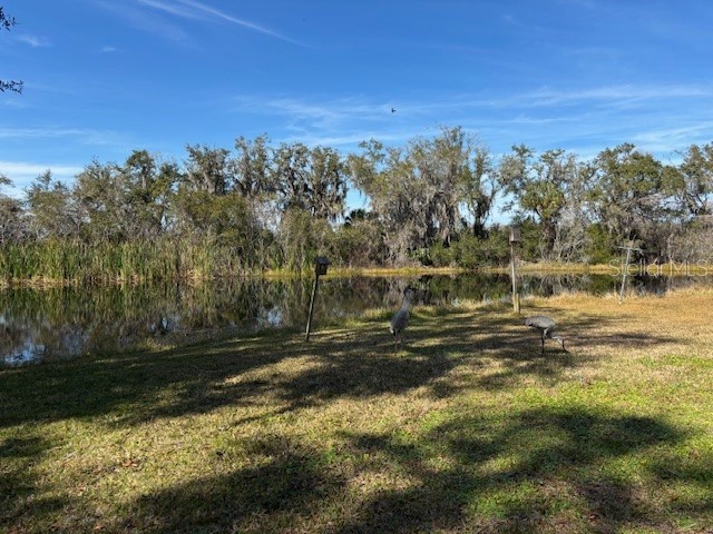 53 N Archwood Drive Inverness FL 34450 OM713057 image71