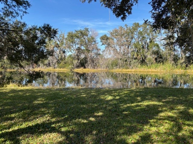 53 N Archwood Drive Inverness FL 34450 OM713057 image75