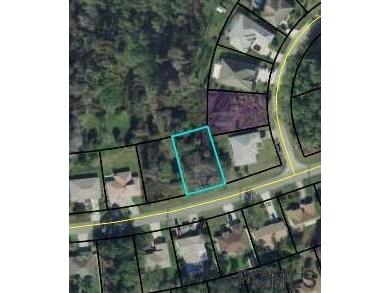 53 Parkview Drive Palm Coast FL 32164 FC288974 image1