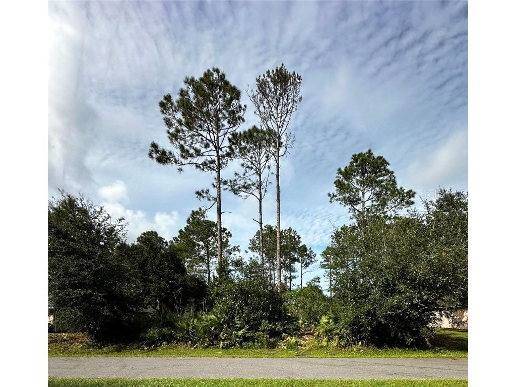 53 Sleepy Hollow Trail Palm Coast FL 32164 FC305081 image1