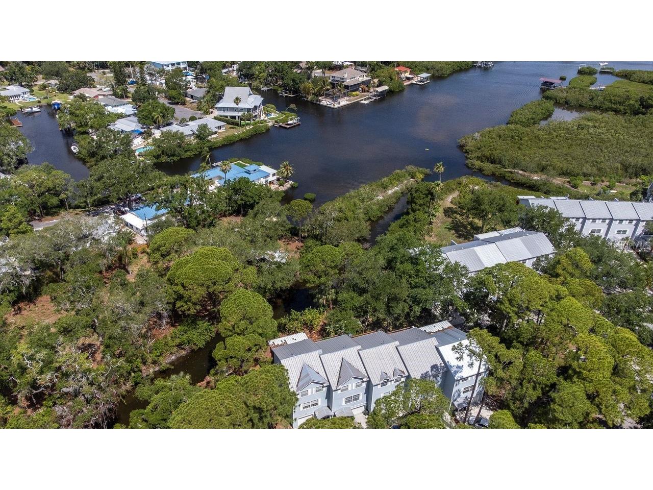 530 Ryans Woods Lane Palm Harbor FL 34683 TB8510619 image31