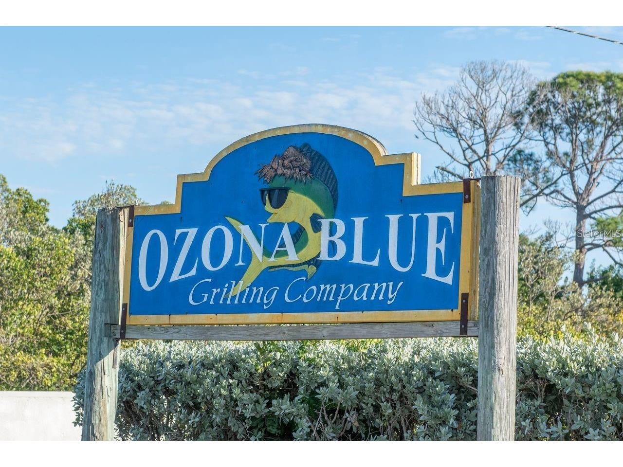 530 Ryans Woods Lane Palm Harbor FL 34683 TB8510619 image42