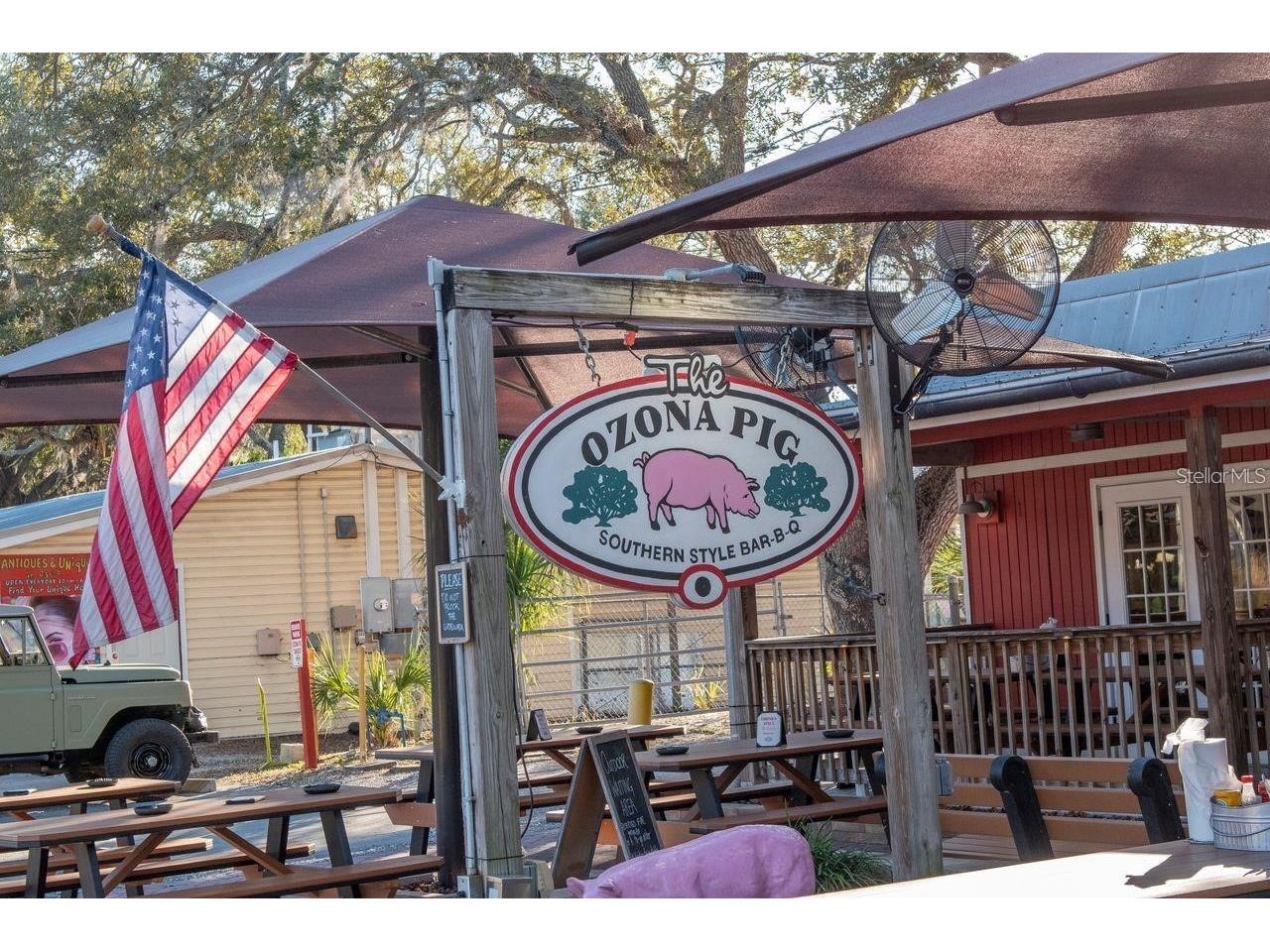 530 Ryans Woods Lane Palm Harbor FL 34683 TB8510619 image43
