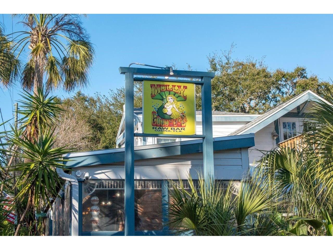 530 Ryans Woods Lane Palm Harbor FL 34683 TB8510619 image49