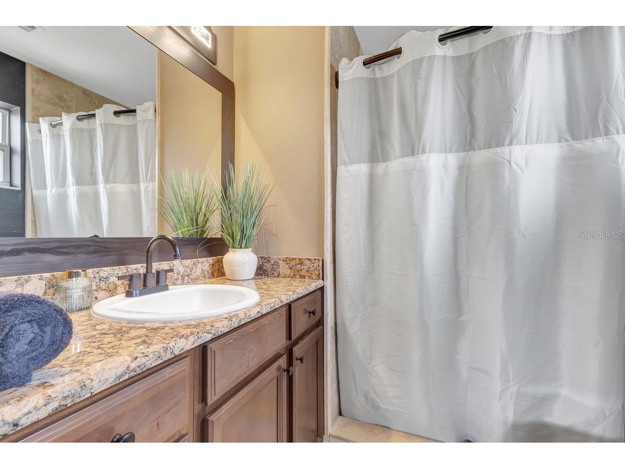 530 Ryans Woods Lane Palm Harbor FL 34683 TB8510619 image6