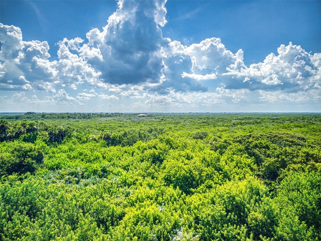 5300 Atlantic #4506 New Smyrna Beach FL 32169 NS1085758 image43