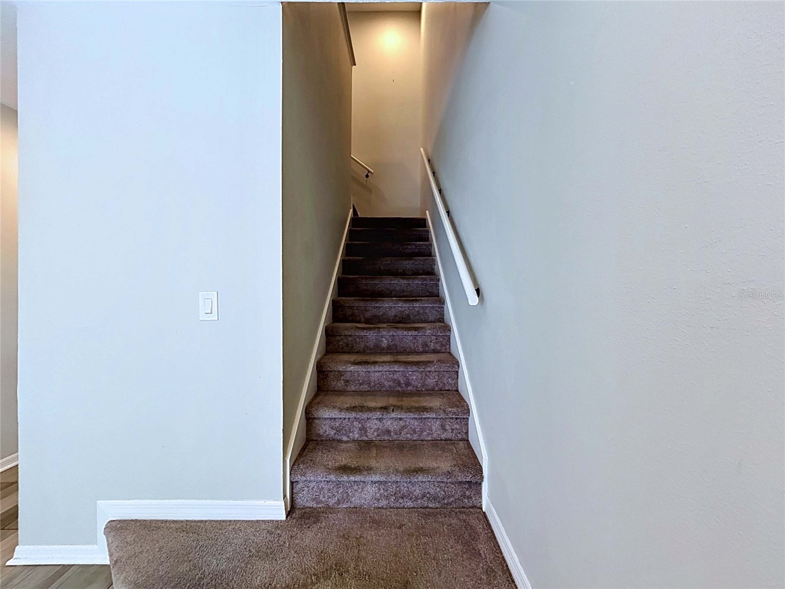 5300 Bayshore Boulevard #A1 Tampa FL 33611 TB8511674 image19