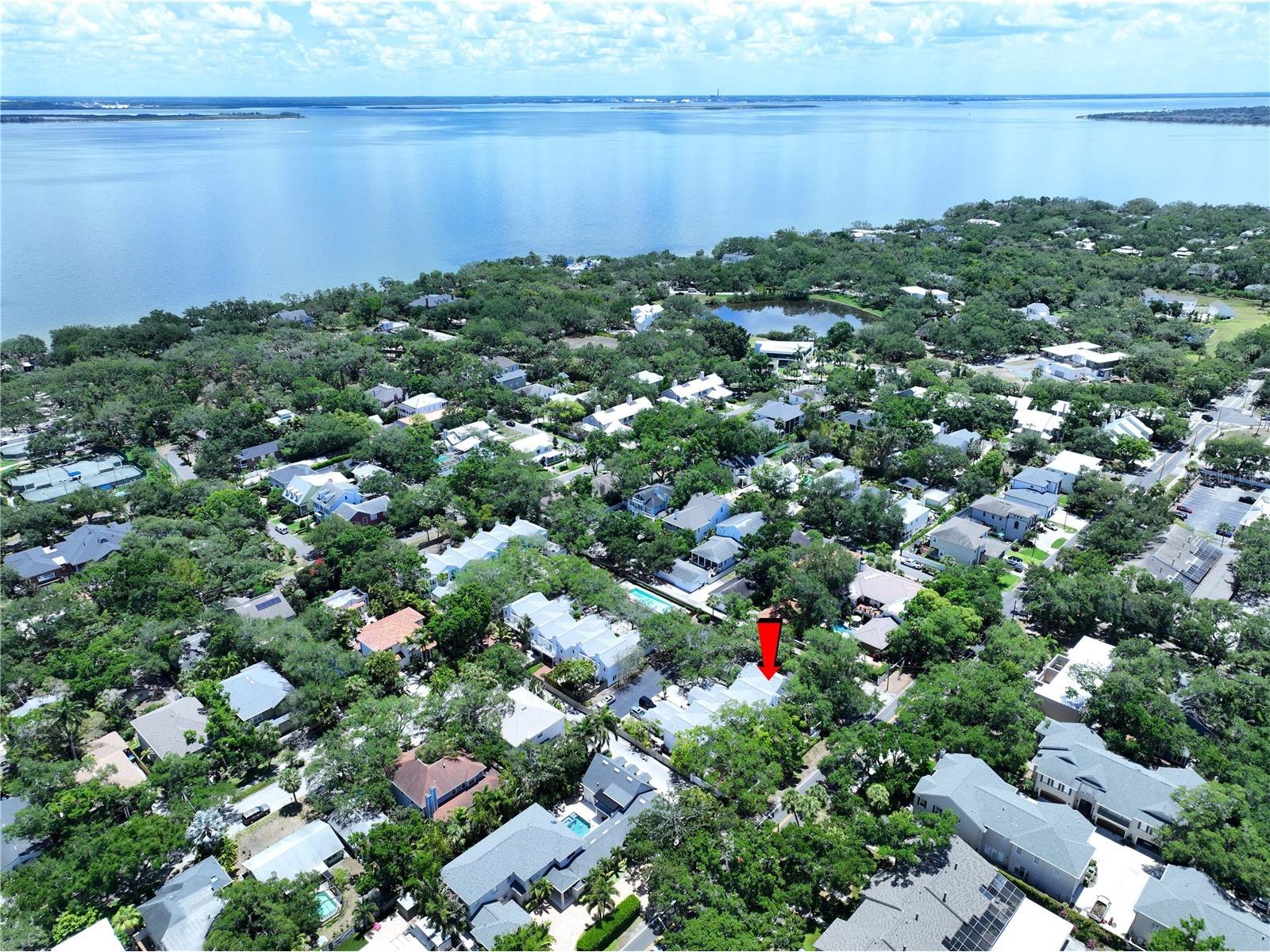 5300 Bayshore Boulevard #A1 Tampa FL 33611 TB8511674 image40