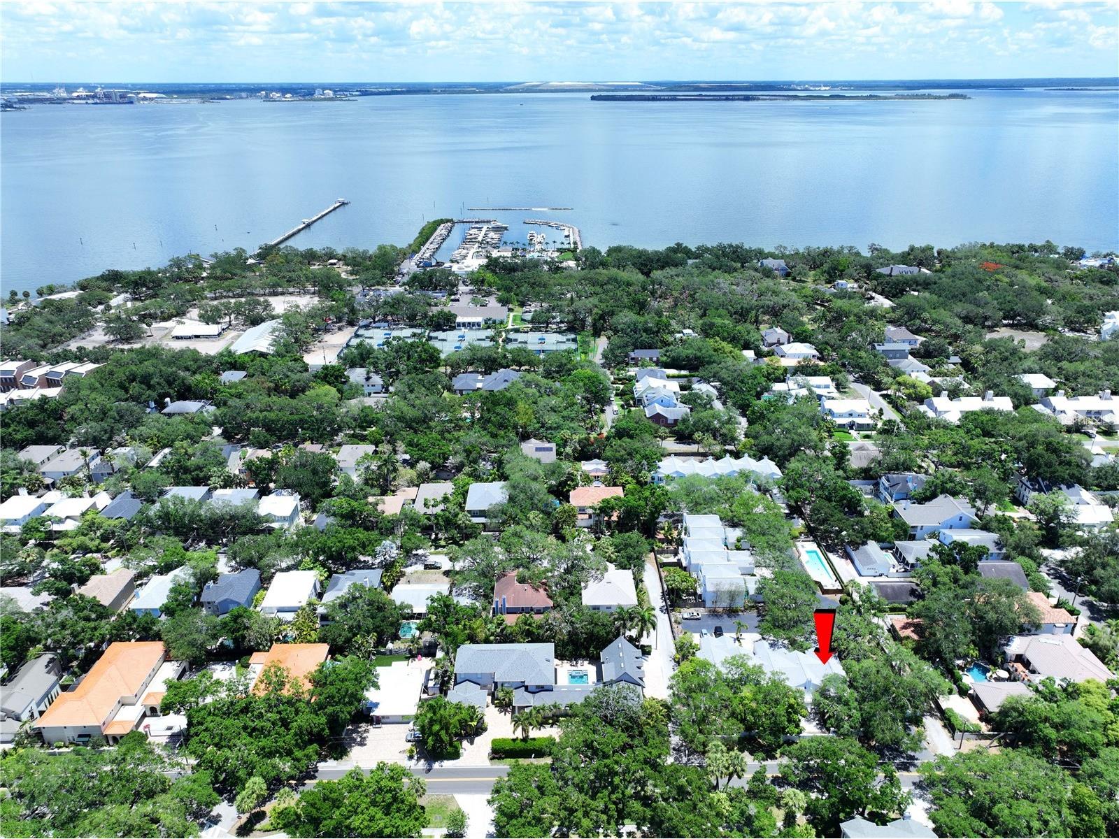 5300 Bayshore Boulevard #A1 Tampa FL 33611 TB8511674 image41