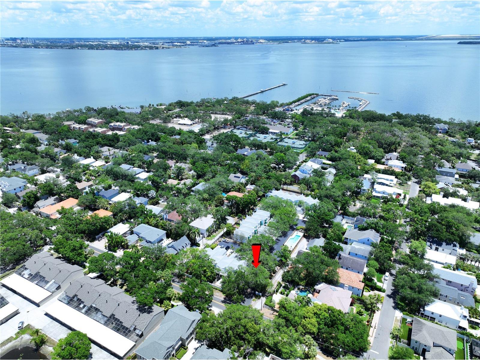 5300 Bayshore Boulevard #A1 Tampa FL 33611 TB8511674 image42