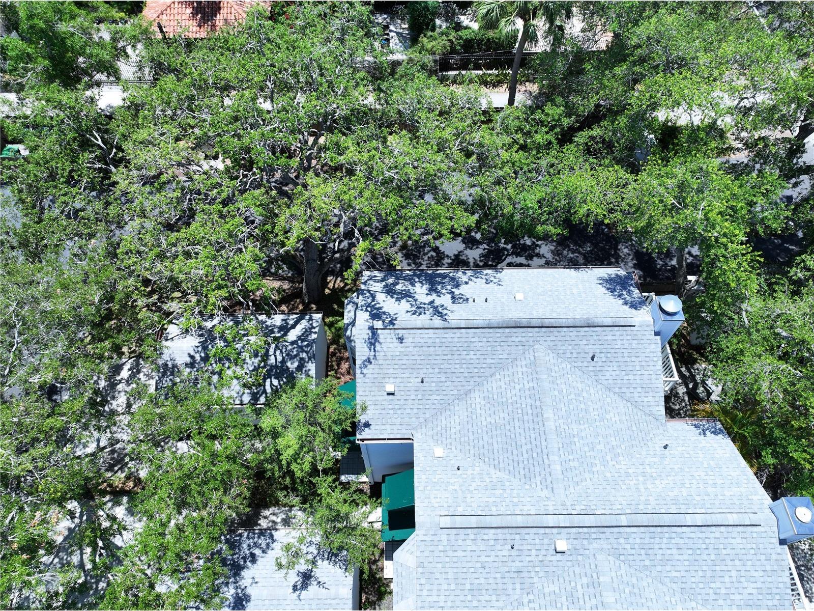 5300 Bayshore Boulevard #A1 Tampa FL 33611 TB8511674 image43