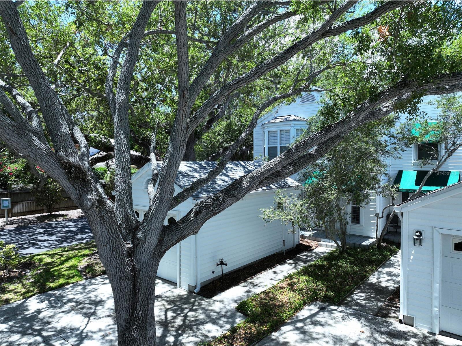 5300 Bayshore Boulevard #A1 Tampa FL 33611 TB8511674 image44