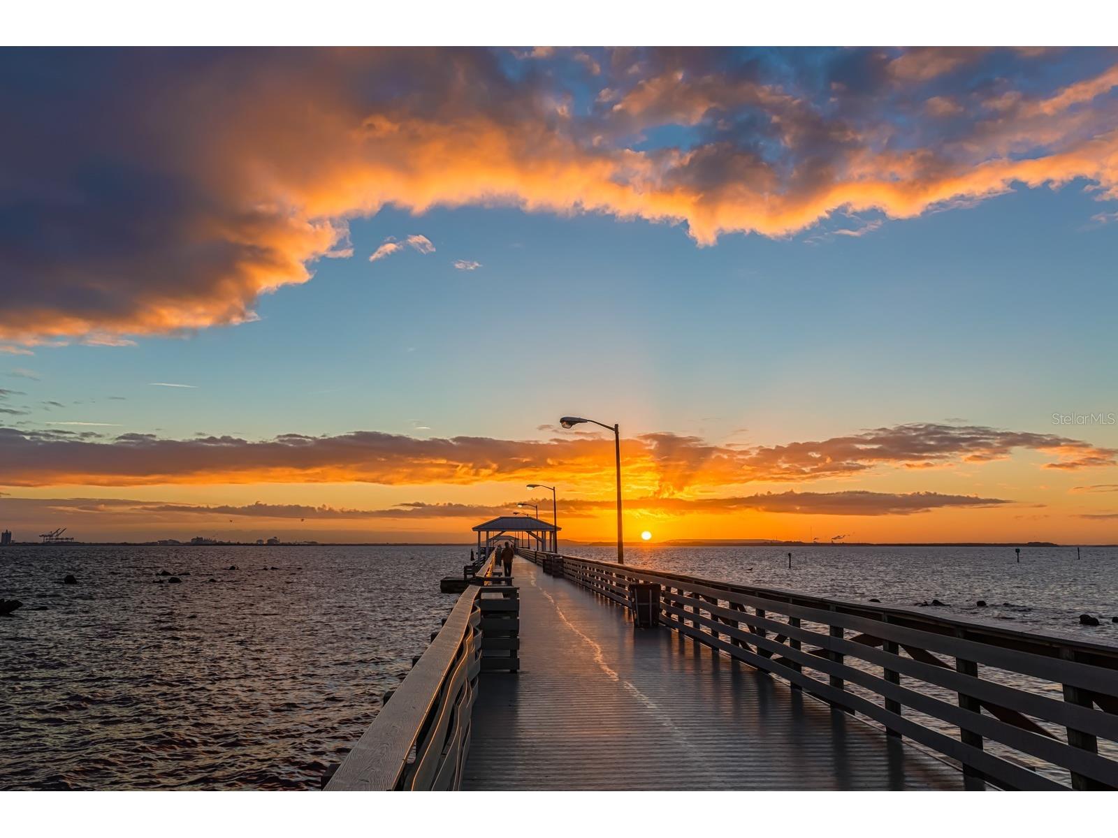 5300 Bayshore Boulevard #A5 Tampa FL 33611 TB8507489 image19