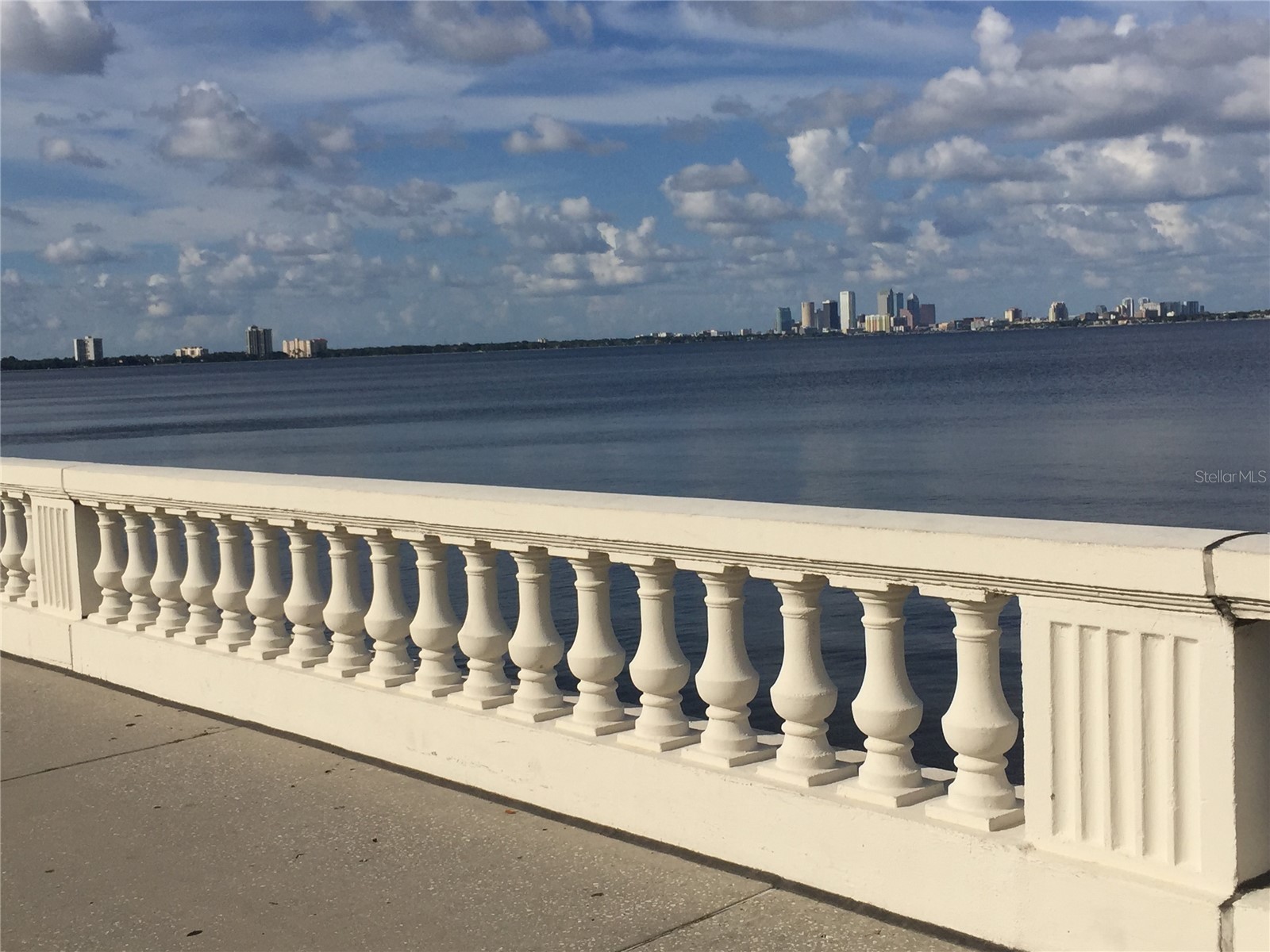 5300 Bayshore Boulevard #A5 Tampa FL 33611 TB8507489 image20
