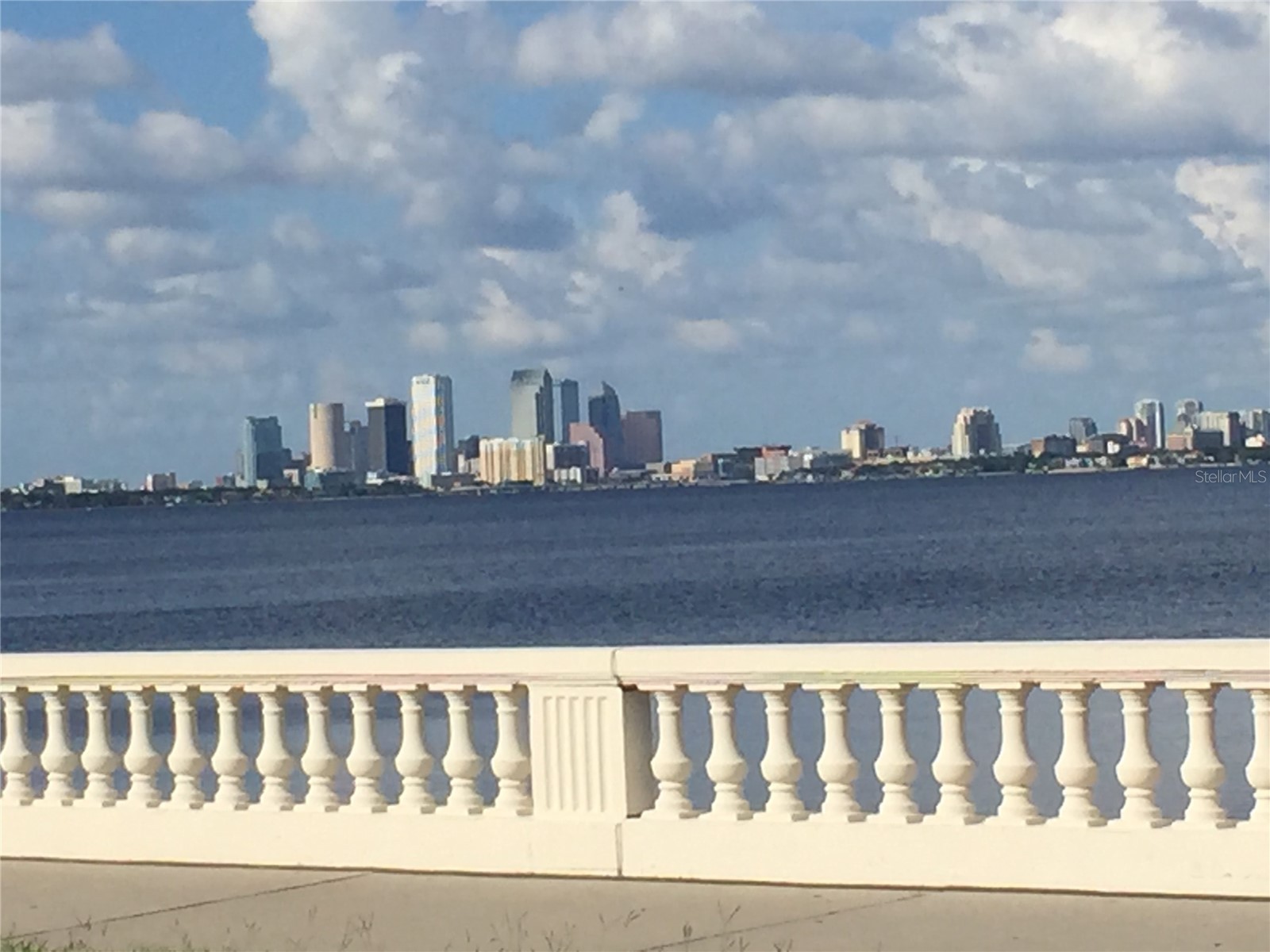 5300 Bayshore Boulevard #A5 Tampa FL 33611 TB8507489 image21