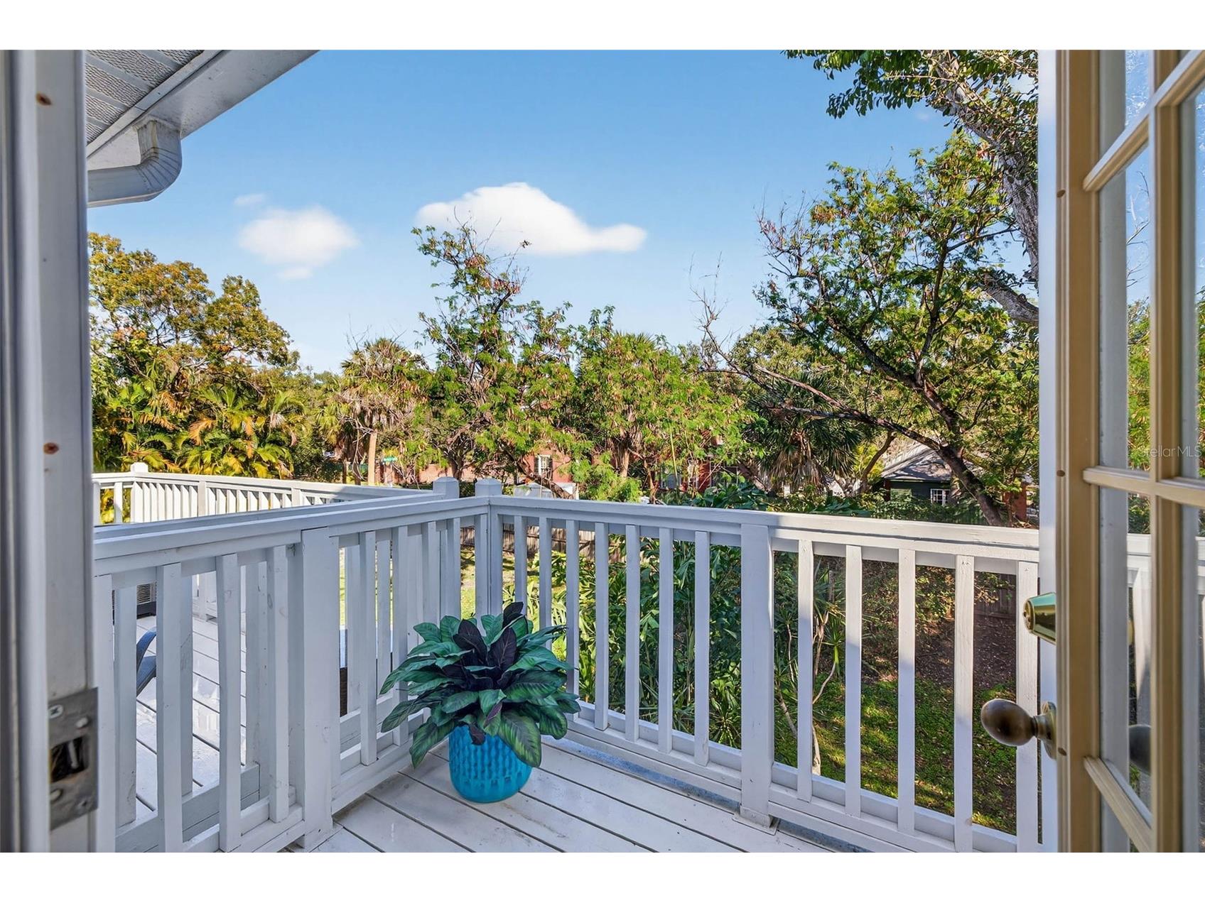 5300 Bayshore Boulevard #C6 Tampa FL 33611 TB8469076 image16