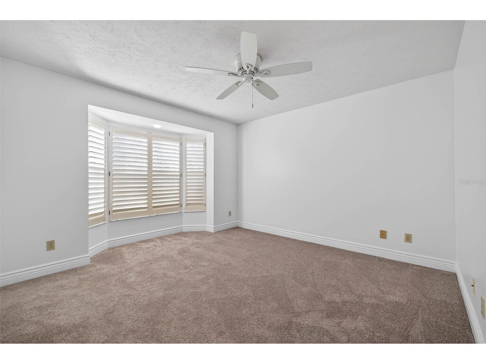 5300 Bayshore Boulevard #C6 Tampa FL 33611 TB8469076 image23