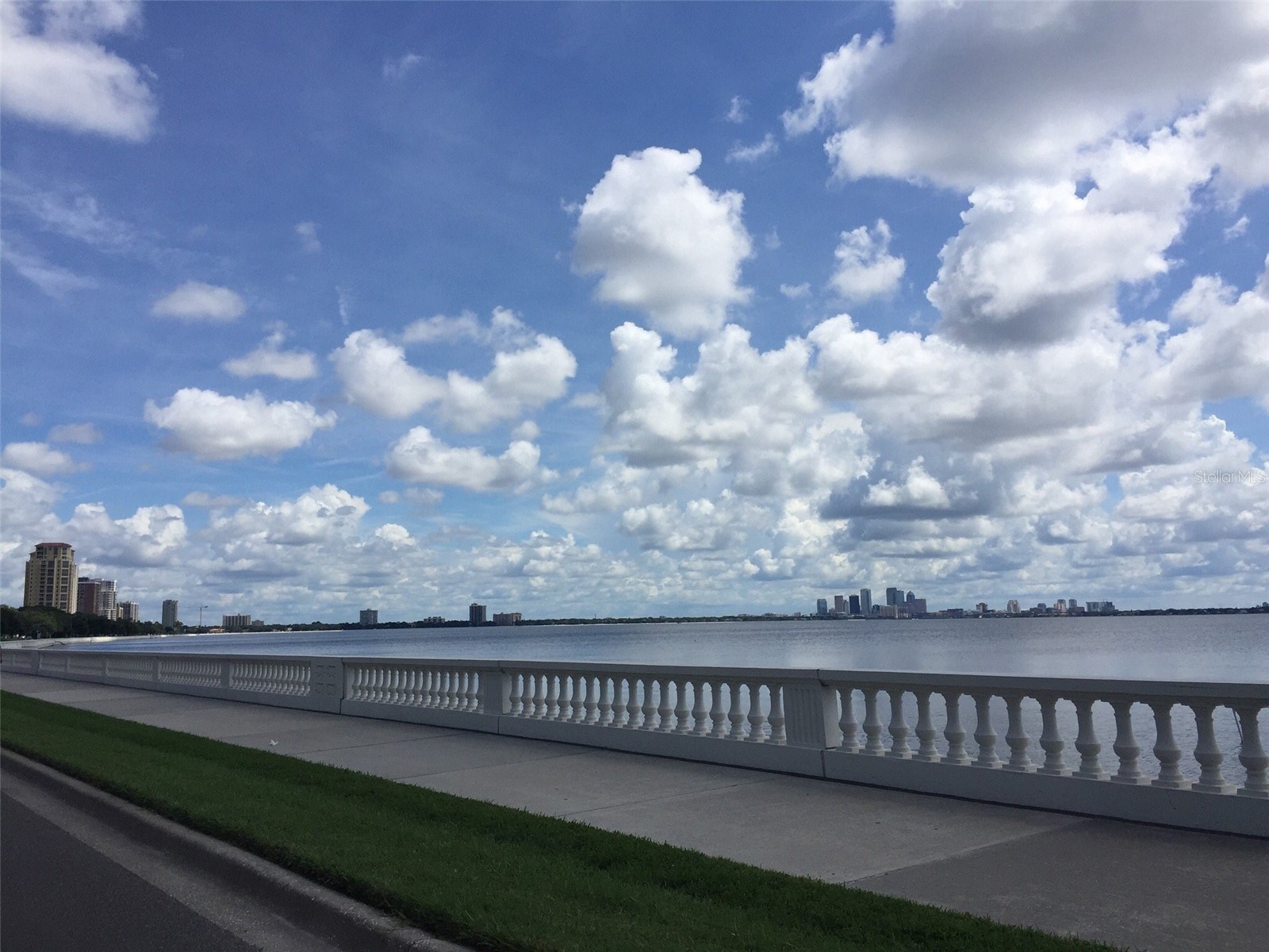 5300 Bayshore Boulevard #C6 Tampa FL 33611 TB8469076 image32