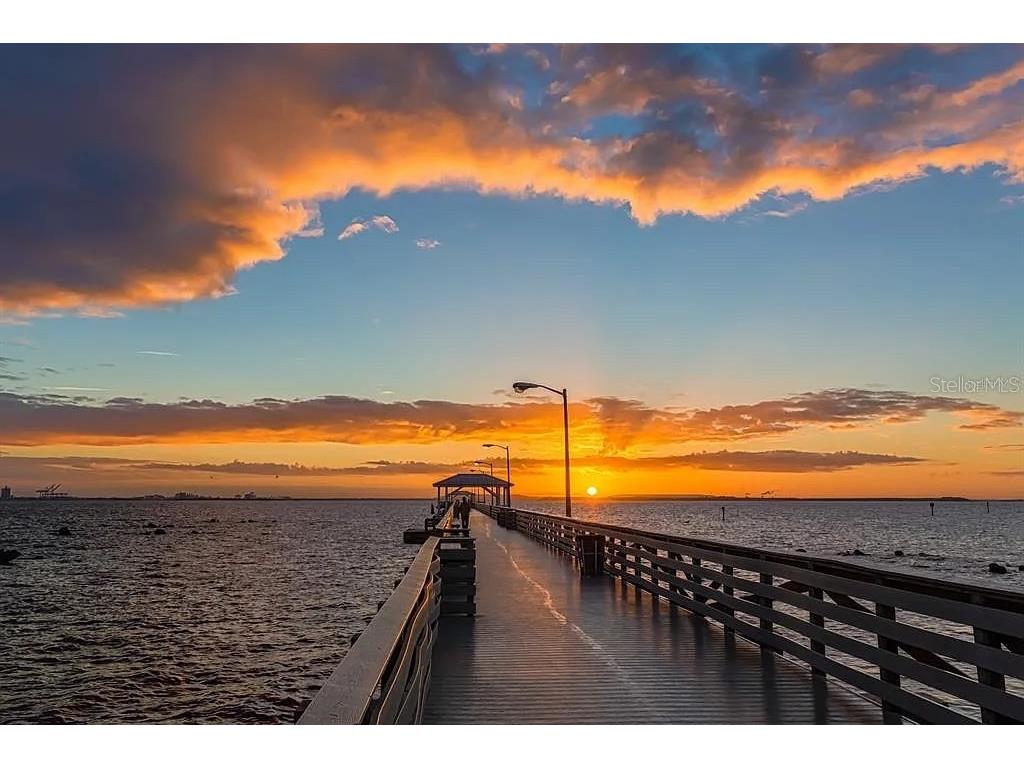 5300 Bayshore Boulevard #C6 Tampa FL 33611 TB8469076 image33