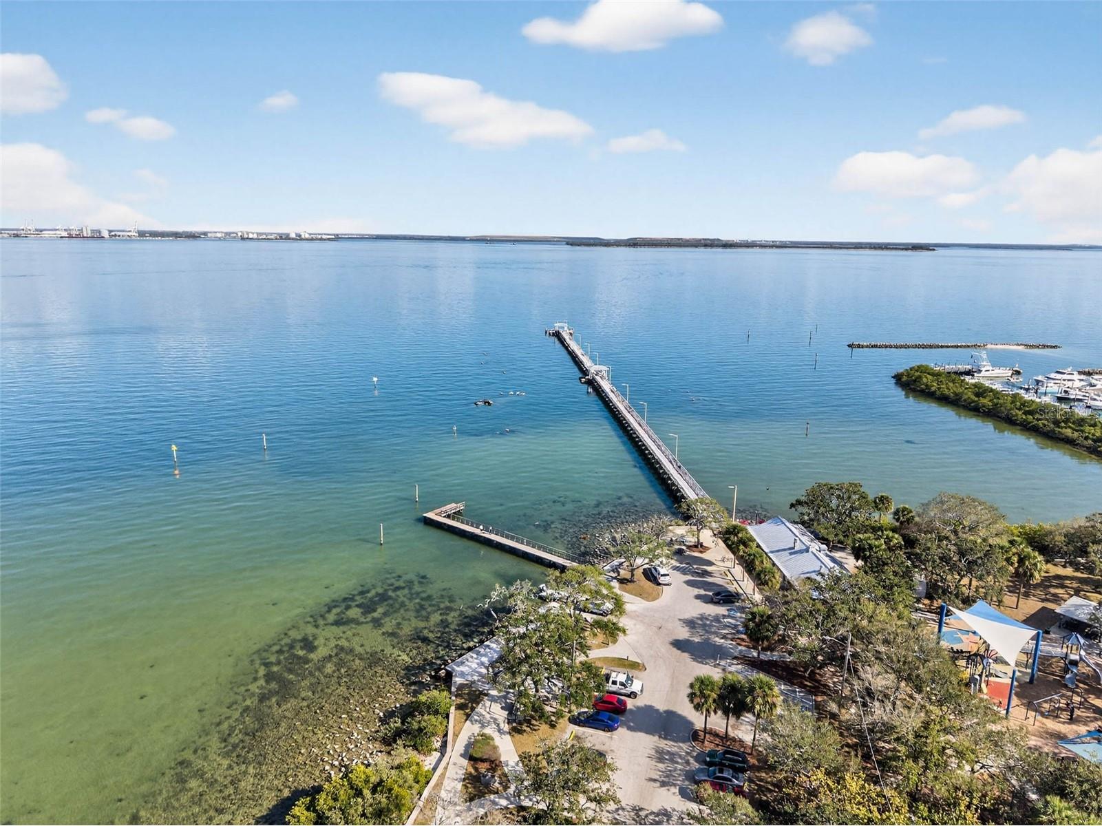 5300 Bayshore Boulevard #C6 Tampa FL 33611 TB8469076 image34
