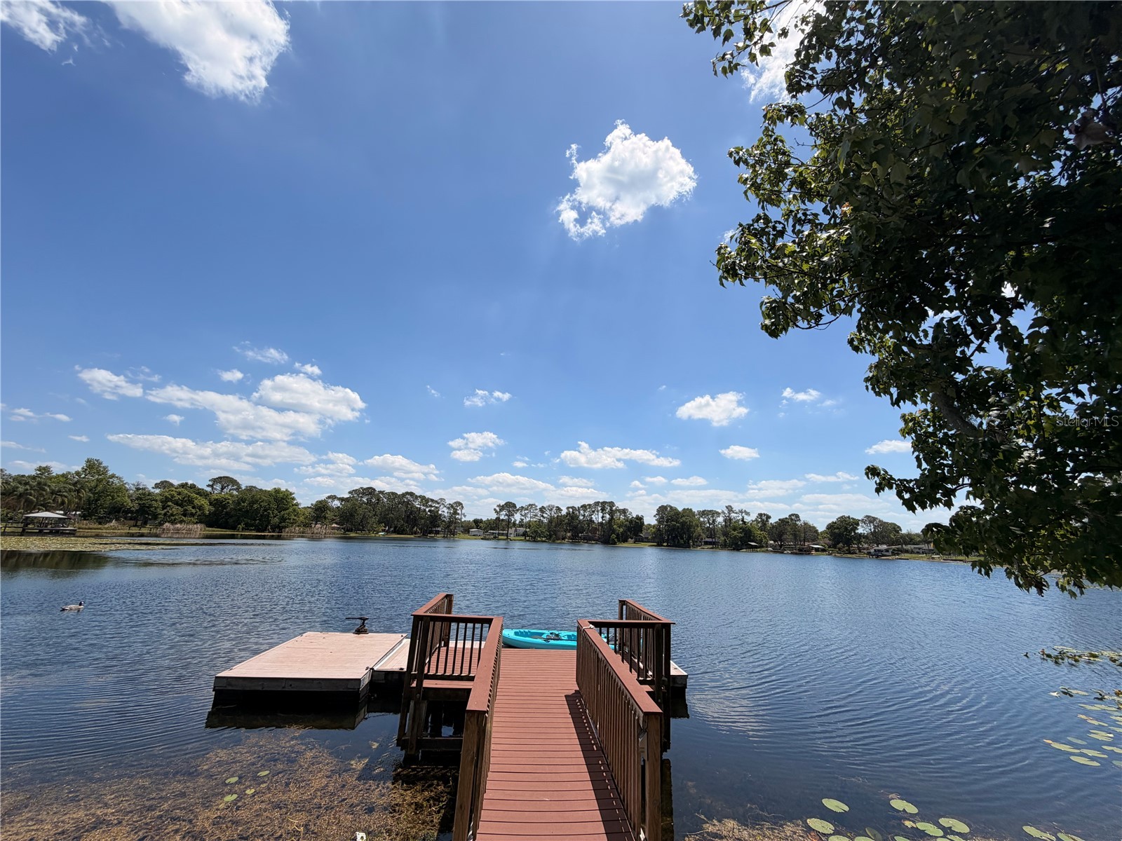 5300 Cub Lake Drive Apopka FL 32703 - Cub Lake O6411816 image43