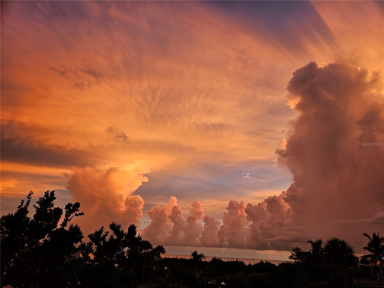 5300 Ocean Boulevard #202 Sarasota FL 34242 A4678274 image51